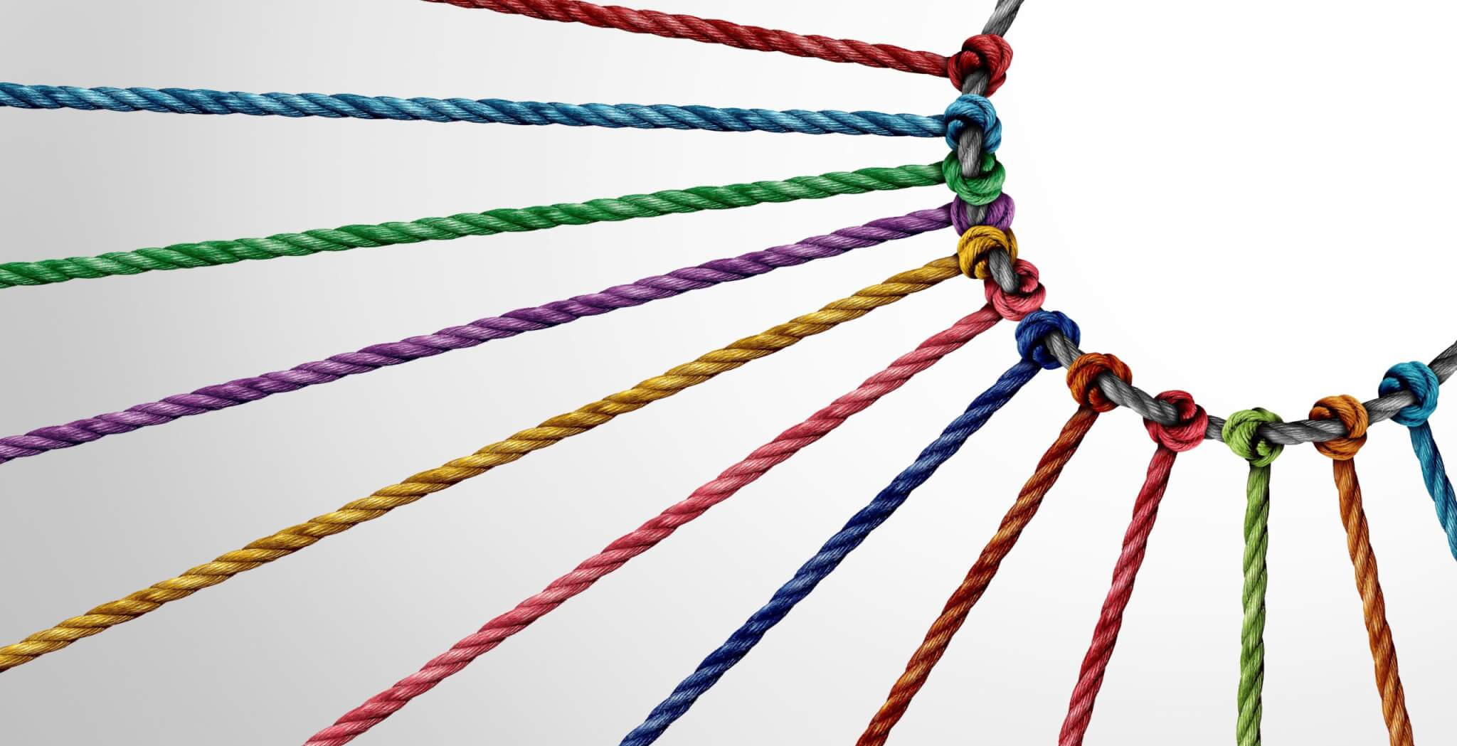Colourful ropes joined to a shared rope, representing connection and cooperation
